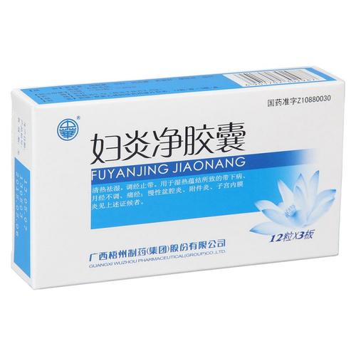 妇炎净胶囊（中华）全面解析 价格、说明书、功效与副作用